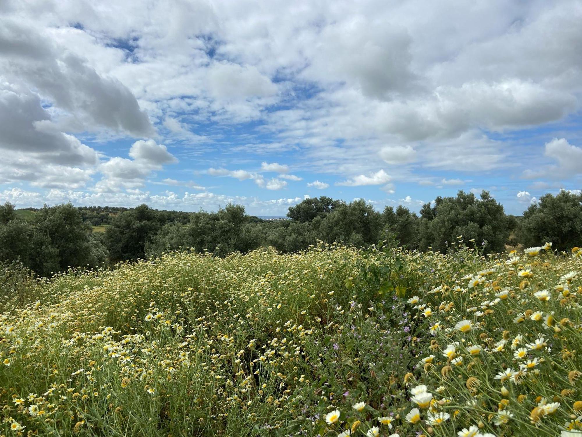 Hacienda Donaire Beas Lägenhet Exteriör bild
